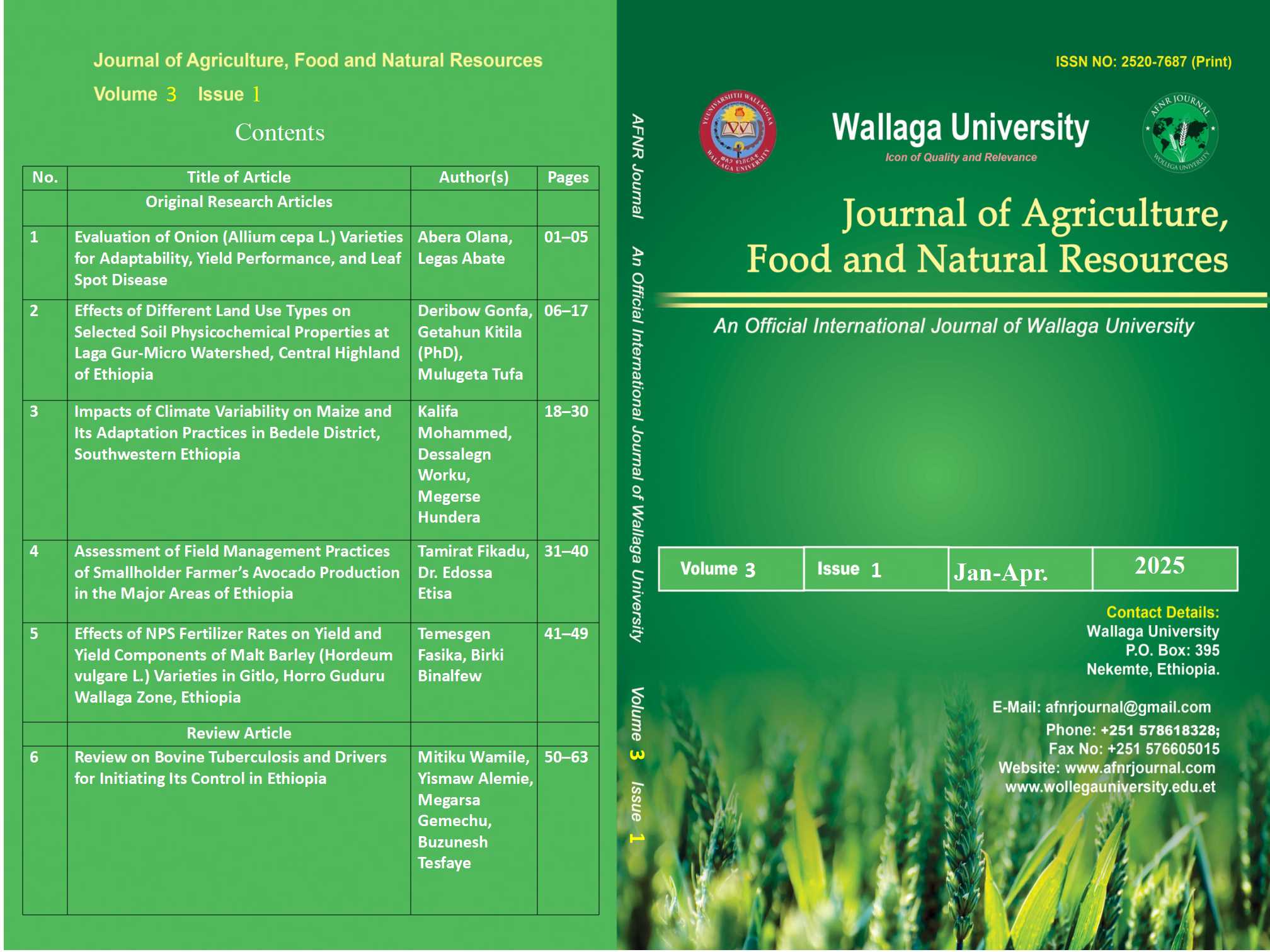 Journal Cover Page